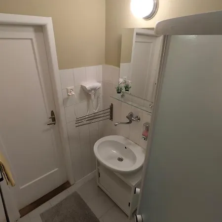 Flat In Zizkov -403-