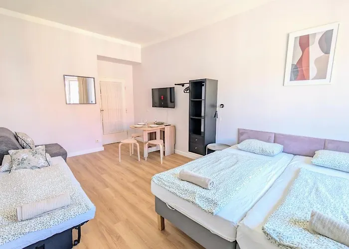 Flat In Zizkov -403- * براغ
