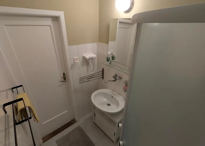 Flat In Zizkov -403-